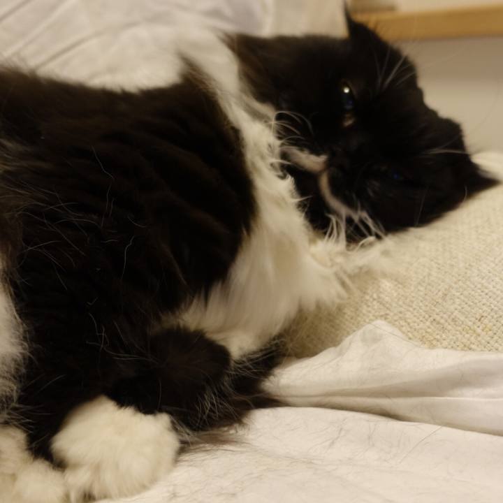 4f3393b3 c44e 4fc0 bd24 508f93d1400c