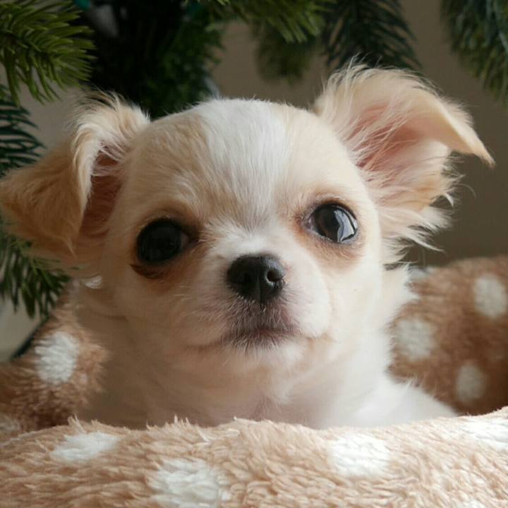 4f345f9a 7639 418e aea4 3b27bfa0e36f