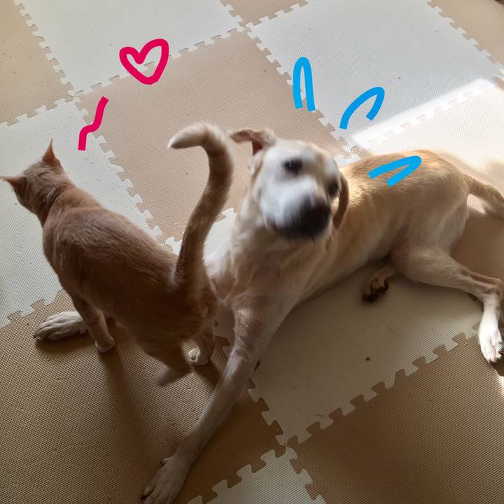 4f34ecb3 d266 46e2 bda5 a5d5c79c608b