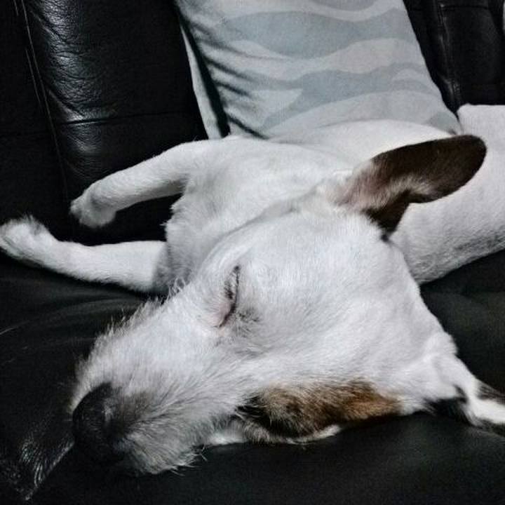 4f351564 23c2 466f 83c1 fd64092f93a7