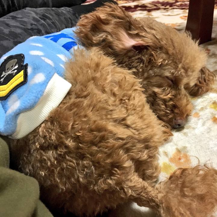 4f3541c2 b242 4ae7 9c83 ae09bf6a627e