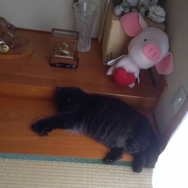 4f3546f9 b3d9 46ee 8b2d 539ffa8e1bc9