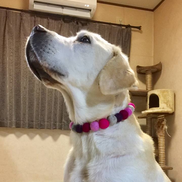 4f3549c2 dee4 42b0 ac45 ee8c91824025