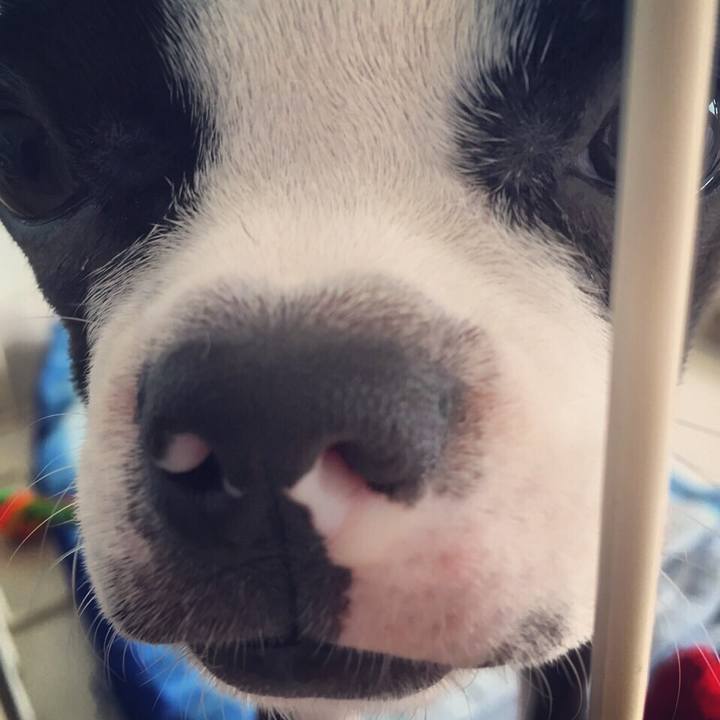 4f35bd9c 40e3 46bf a63d 595ee2135f98