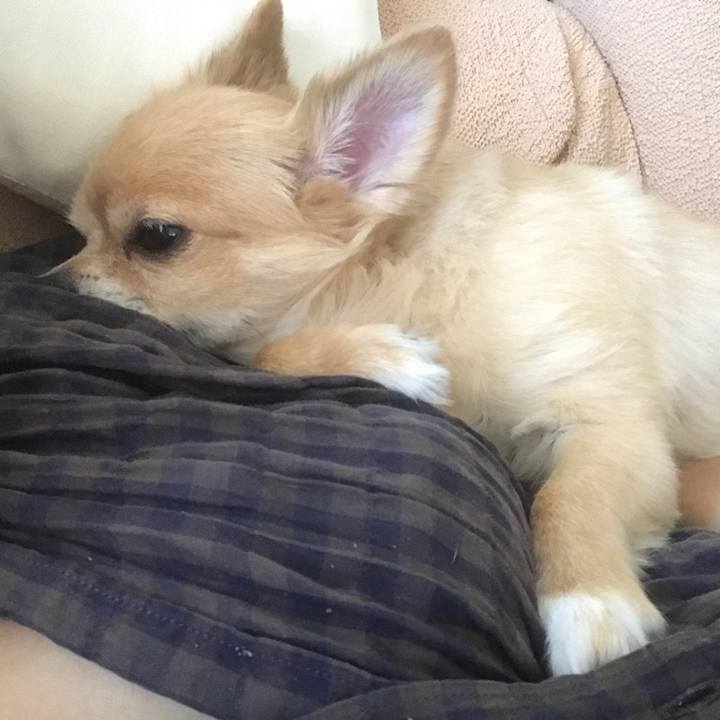 4f36c866 2390 4c93 a5fc 0f4679bc2e6a