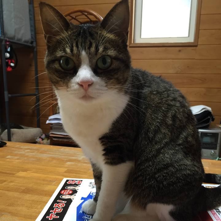 4f36e914 c94f 44c7 8280 6f82550020ce