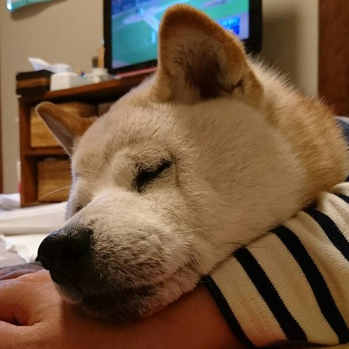 4f36eb64 3328 4773 b8e6 59bc6bc16081