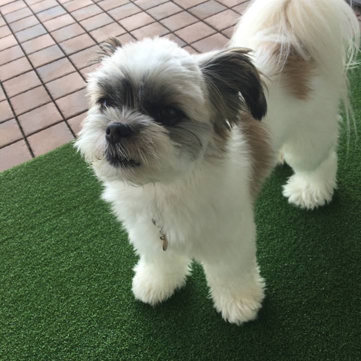 4f37eefd c202 4db6 9d76 8a5b46043321