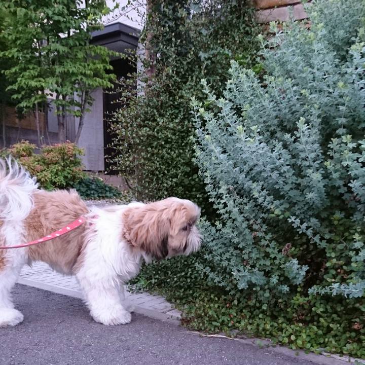 4f38464b edf6 400d bdb5 1c58a644d3b2