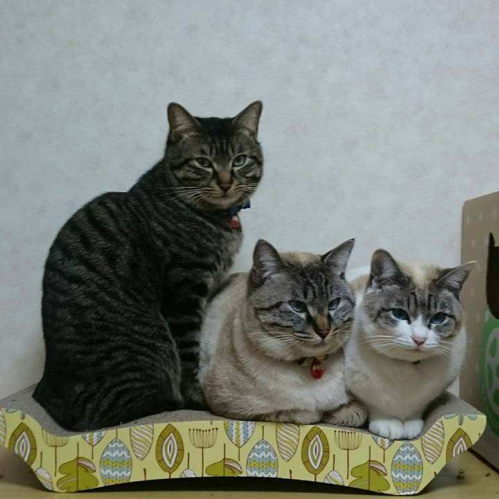 4f3898b9 7543 4de7 af8e 7a4de640f35f