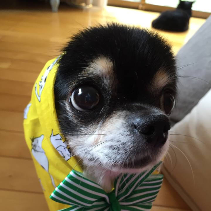 4f39558a e042 4dbd 925d 89ec4ca901c1