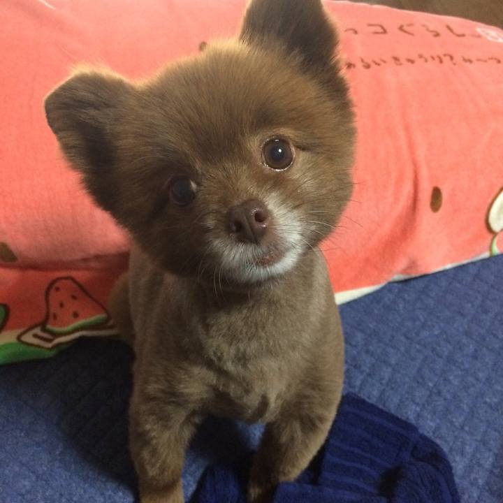 4f3a8731 7341 4f70 ac49 270155bfc4cc