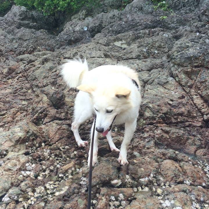 4f3aa519 8414 4381 b511 123d02e246e3