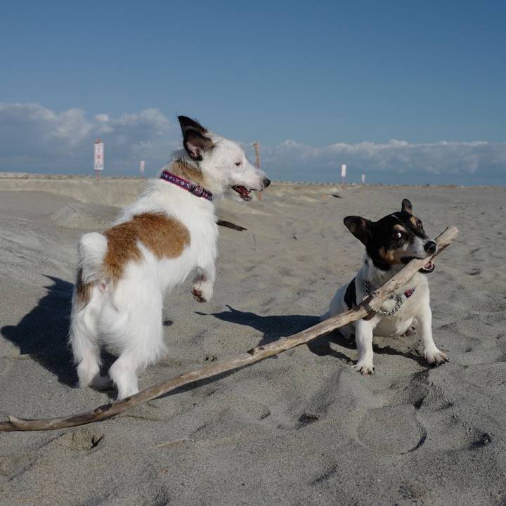 4f3b1181 c56a 4d13 8fc8 ab2b09746f7b