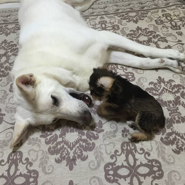 4f3c6634 47a0 480d baf3 428a1d345c9c