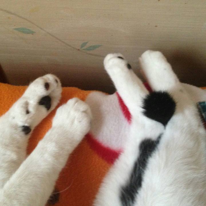 4f3c7485 67b5 4813 b859 6121f44dd489