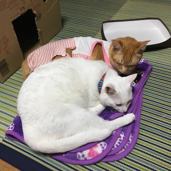 4f3cfbb3 8b6e 42a7 a85e c66c902471c2