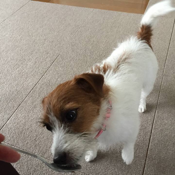 4f3d7535 898f 46bb 8209 ae9ae52bf23e