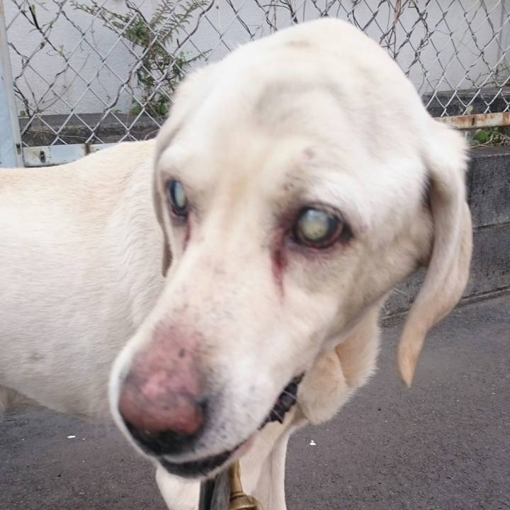 4f3dab23 08ea 4eb8 8d91 5297a88f5c2b