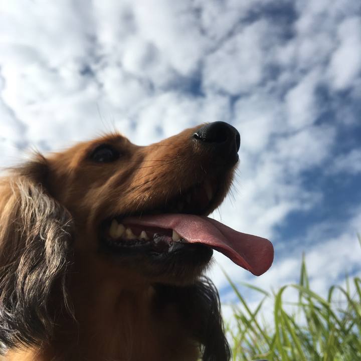 4f3db78d 5c26 434a b7c2 583b673bcc32