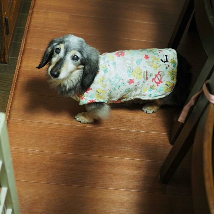 4f3db99d 4a8b 4f43 9b14 d8d4b0c13158