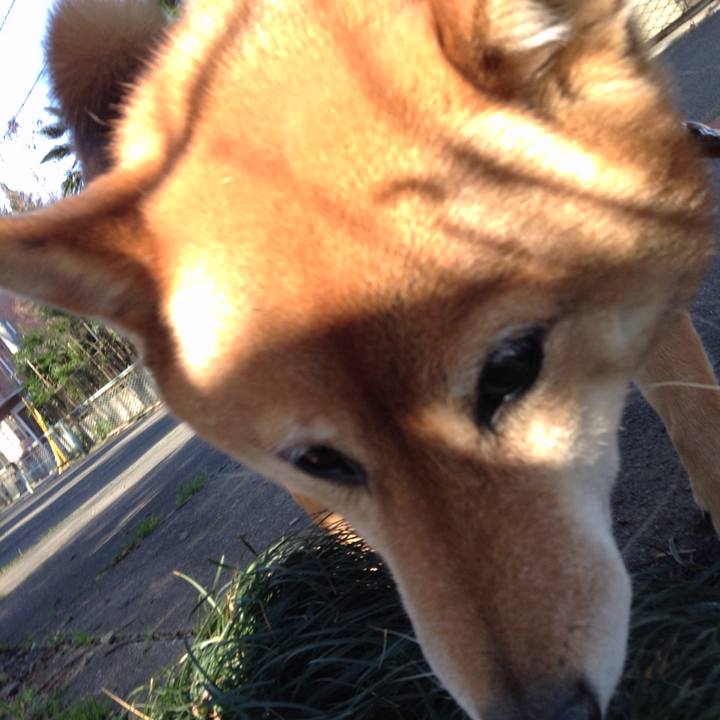 4f3e0465 3771 4a31 a5d1 aef3bef229ca