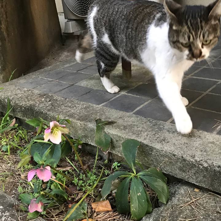 4f3e8dec a040 497c a6e1 2d5d3d6a831e