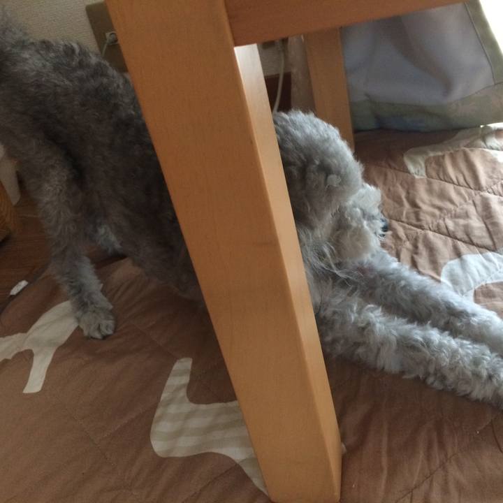 4f3f8b54 9515 4fb4 875d 8835e25713bf