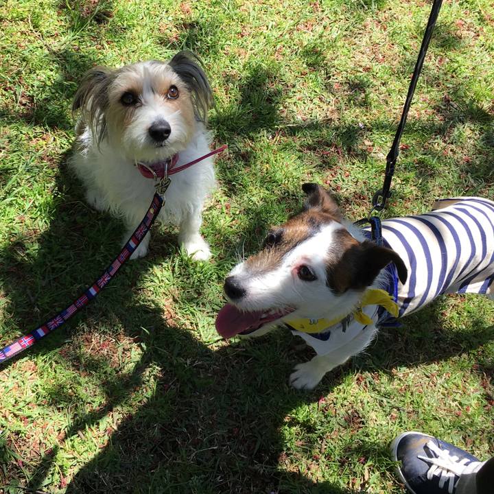 4f3f8dcf c966 4de9 968b f31fe81b3fe0