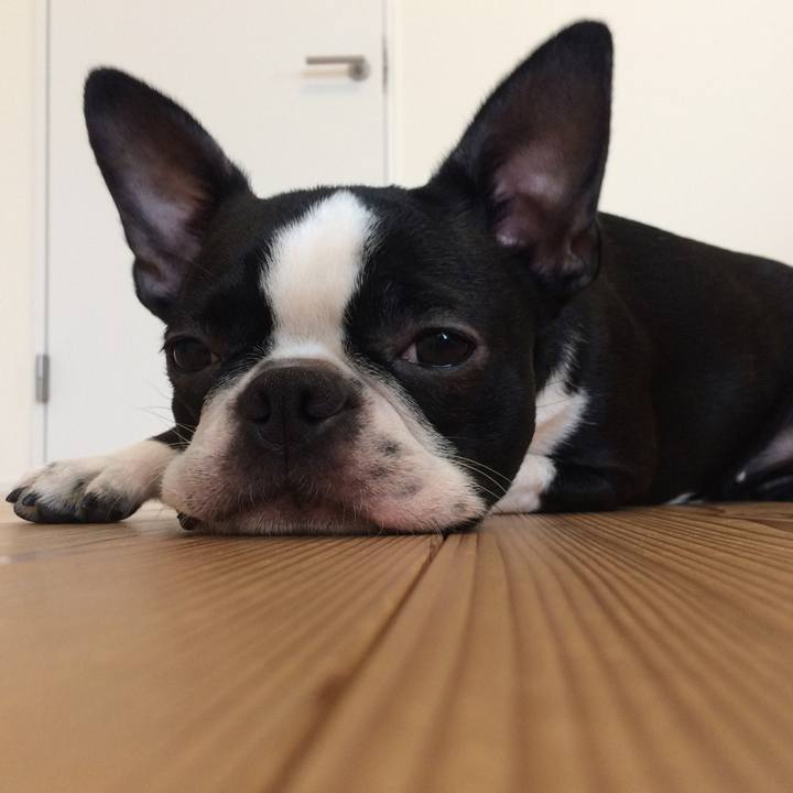 4f405d0f ba1f 4530 8f57 67bd7b3f4b18