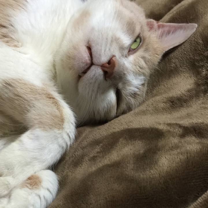 4f415f48 079a 45f8 a105 30776b349b85