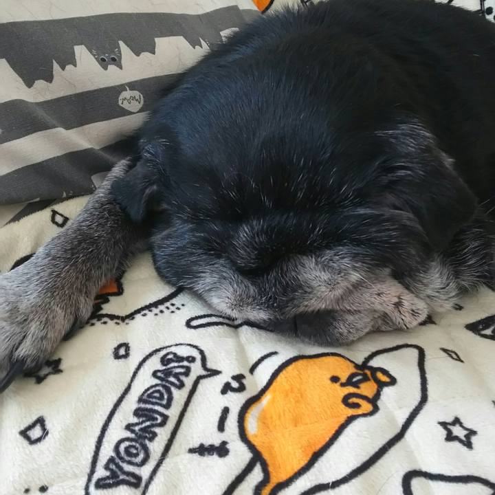 4f418438 40b7 470d 88dd a9a12a71c432