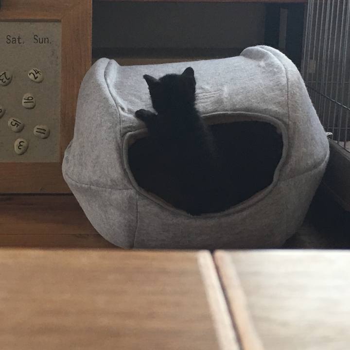 4f41a76e 6159 4b38 a152 74072e0dd636