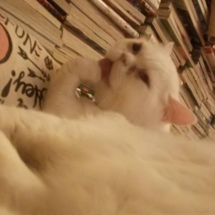 4f41d0b5 5d49 4f81 baa0 80dfeedd17a4