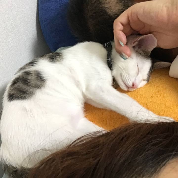 4f41d61d cf9f 4367 b56d 0d2b18803b20