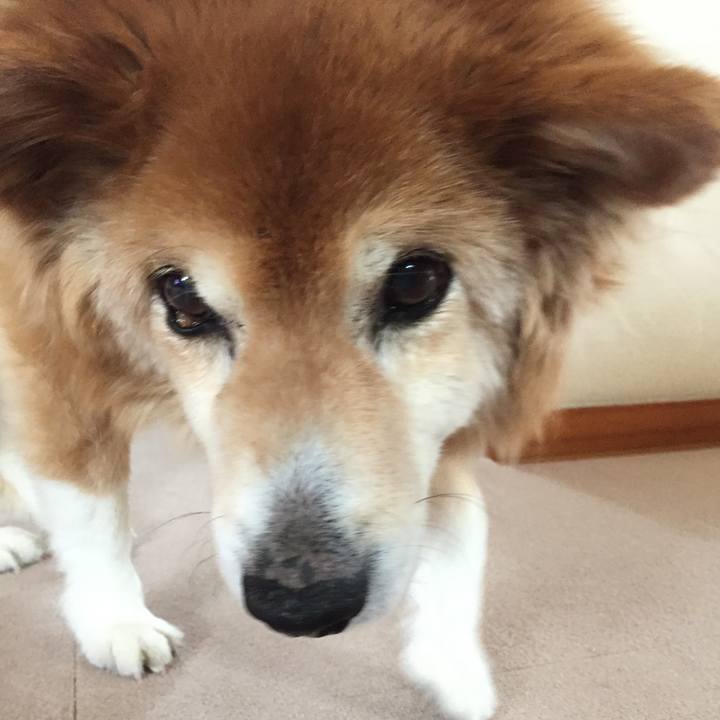 4f42a304 bd16 4a91 8cc4 0655f1da8cb2