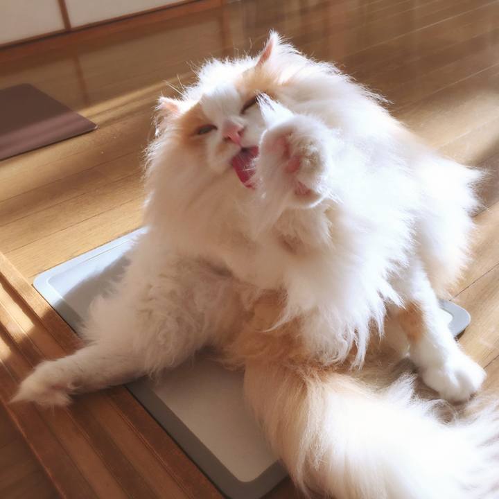 4f4353d2 3eab 4c94 9268 56fd8f877089