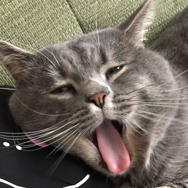 4f447956 7284 4674 9396 d17e66bf5417