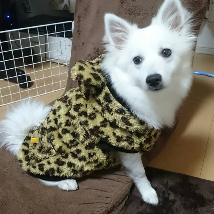 4f447c6c 395a 4b5b 8b5a 86bf2bd5c205