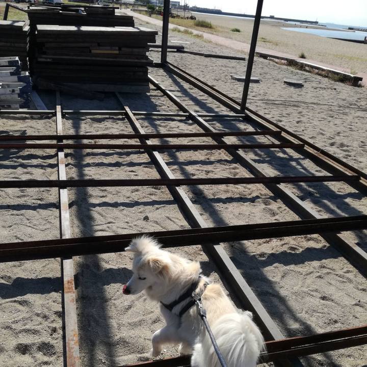 4f45312f 2005 439a 8bf9 dad971a4ed2b