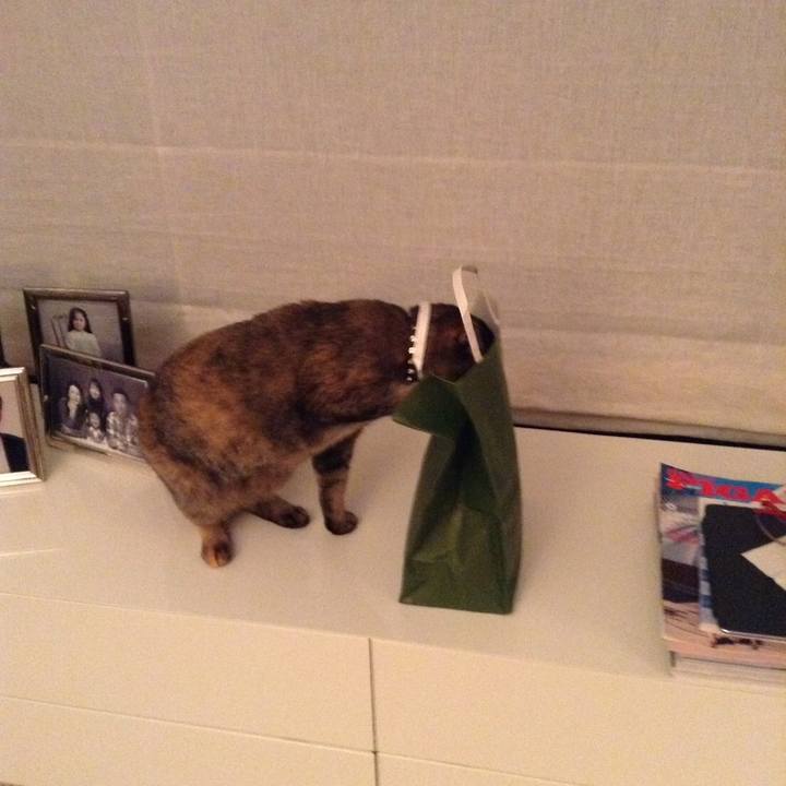 4f4598c8 60cd 4b25 9f6b bd6fa81474cd