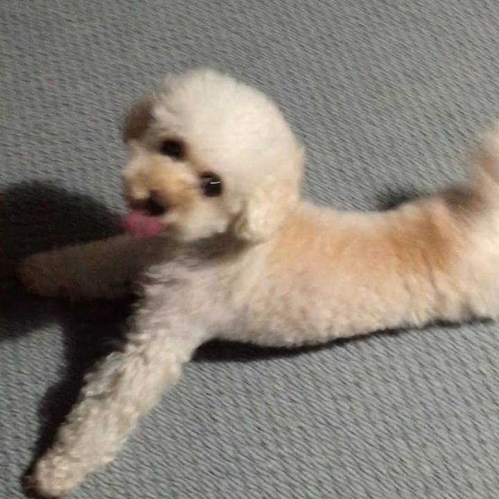 4f46a0fd 3cd2 4424 a155 fbd2072a0220