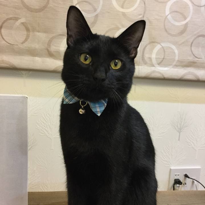 4f46d9e8 3ce3 4c1c 8934 2d5e7b15b683