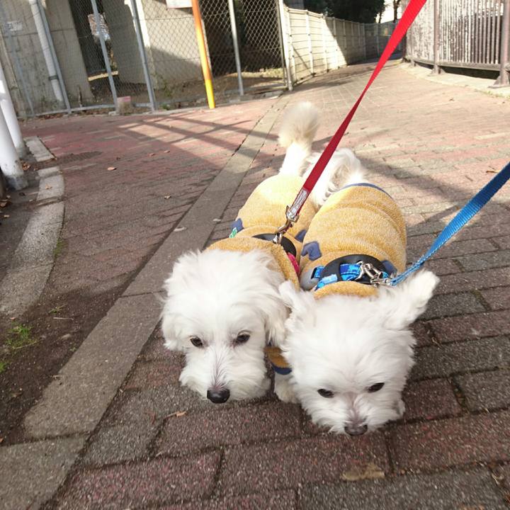 4f476598 5208 4fd4 98da 69b8e5671902