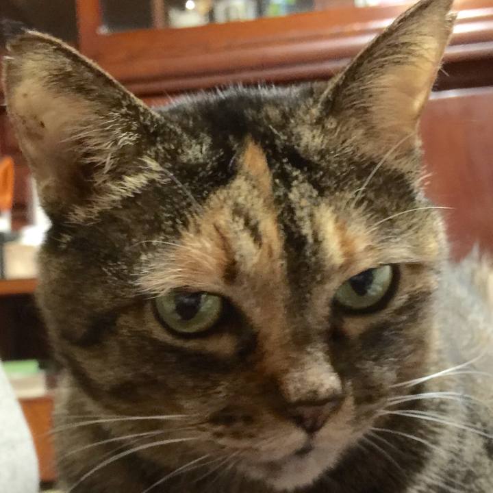 4f47863c 70a8 4617 9c02 2c4c2d41b2c0