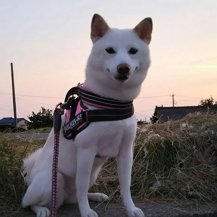 4f47adba 5c52 4ae1 a5d8 0704fc6b4052