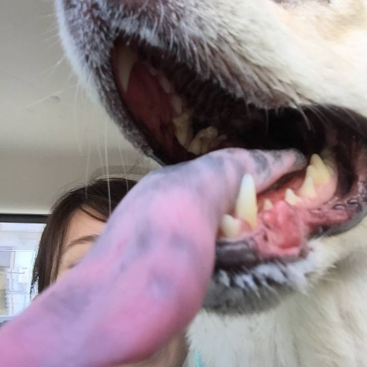 4f47eb6c 12eb 4e77 a7c4 4882600b68ef