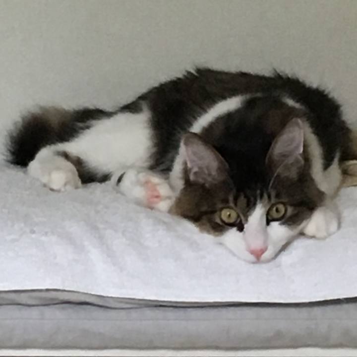 4f485a8f 1989 46dd b796 9c14984fa2d0