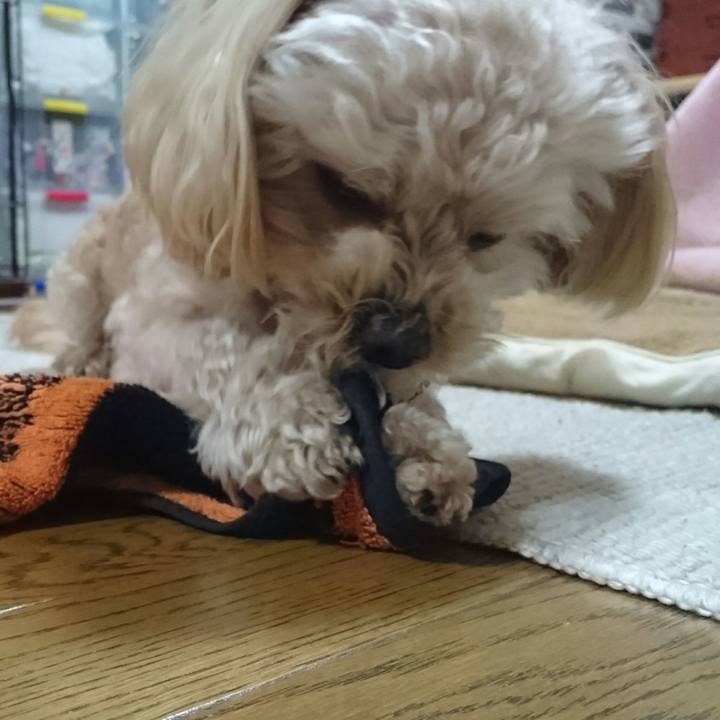 4f486f0b 9691 4dbc 8d5d 1b79df12f0fe