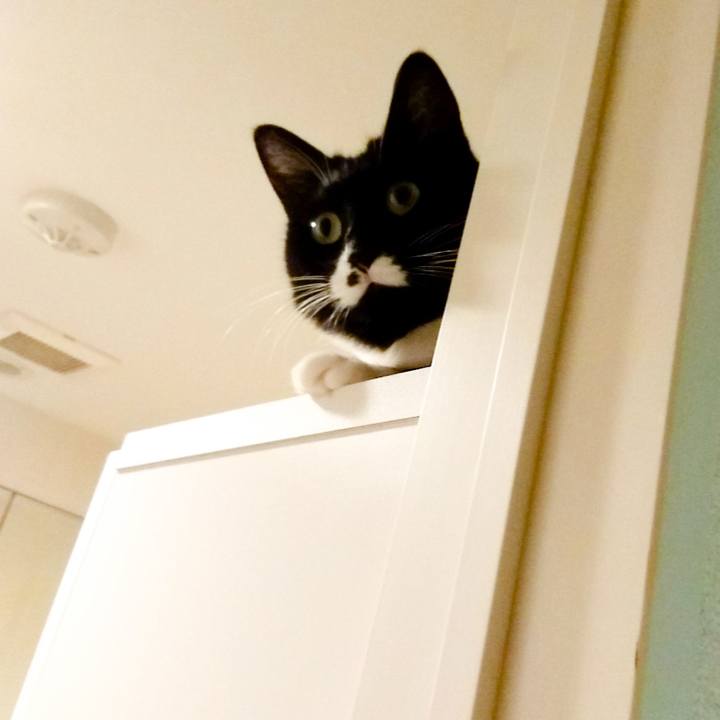 4f487077 cc20 41aa 8dde 69963b1cb922